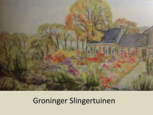 Lezing en excursie slingertuinen indrukwekkend.