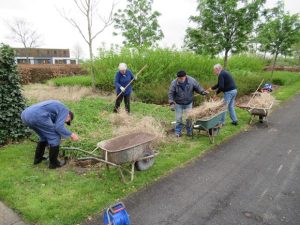 Snoeiwerkzaamheden op de begraafplaats.