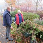 Seizoen afsluiting in het groen op de begraafplaats